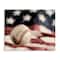 Stupell Industries Baseball & American Flag Canvas Wall Art